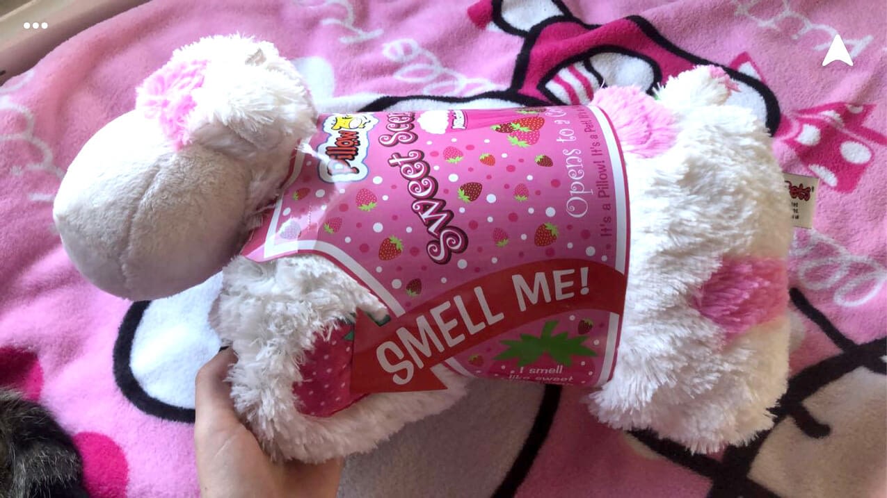 pillow pets sweet scented strawberry cow pillow pet stores